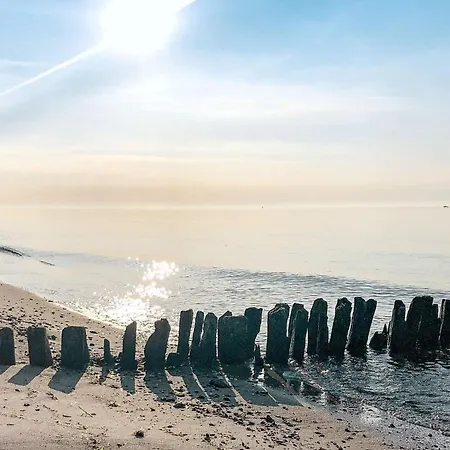 4 Person In * 格洛米茨